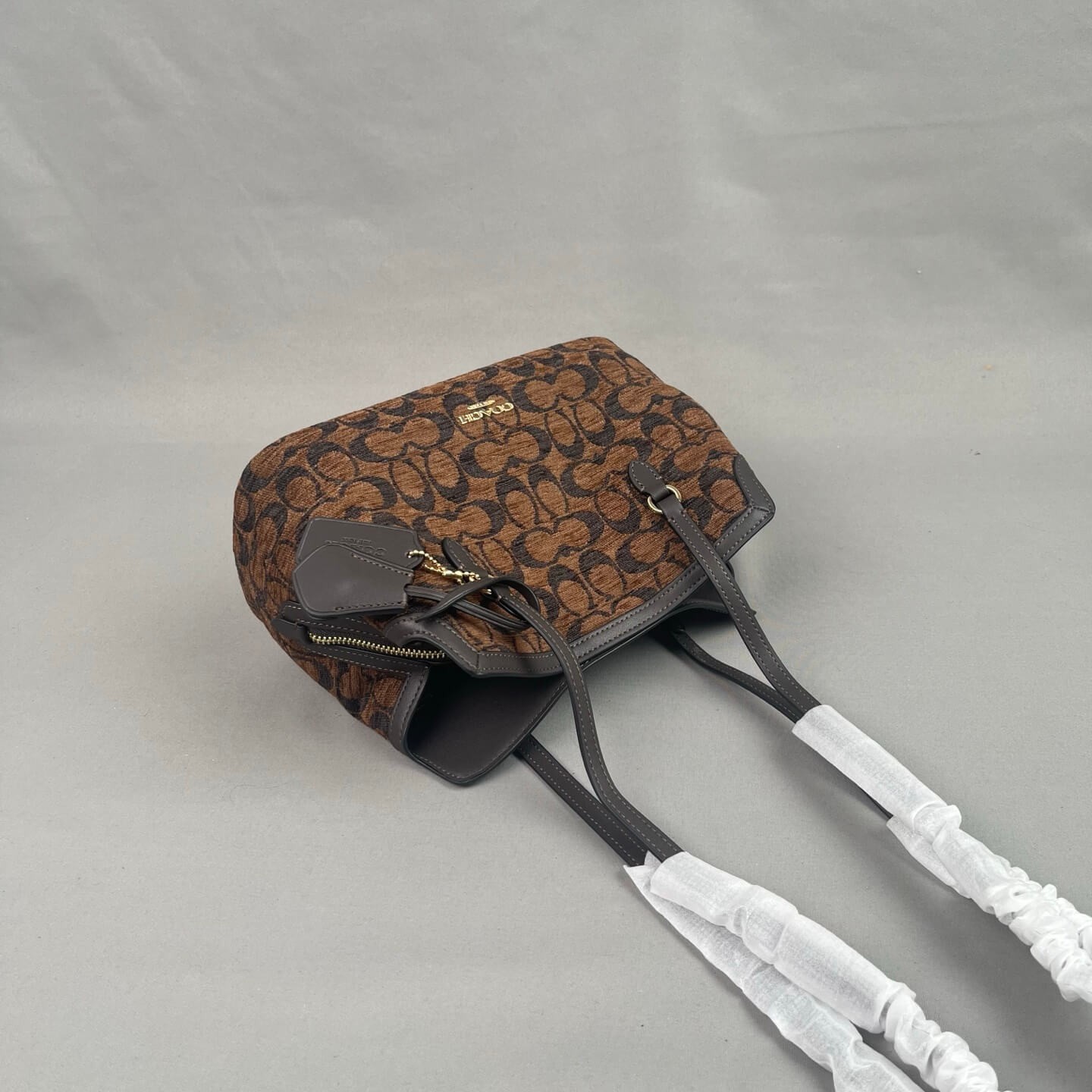 161/5000 coach  CFP36 Elise's new tote bag, a versatile commuter essential