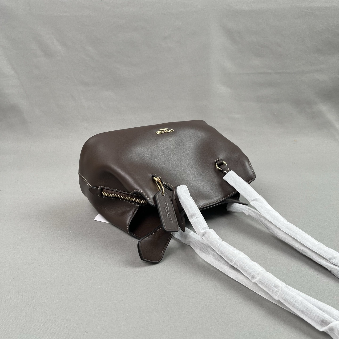 coach Original CFP35. Elise's new tote bag, A versatile commuter essential