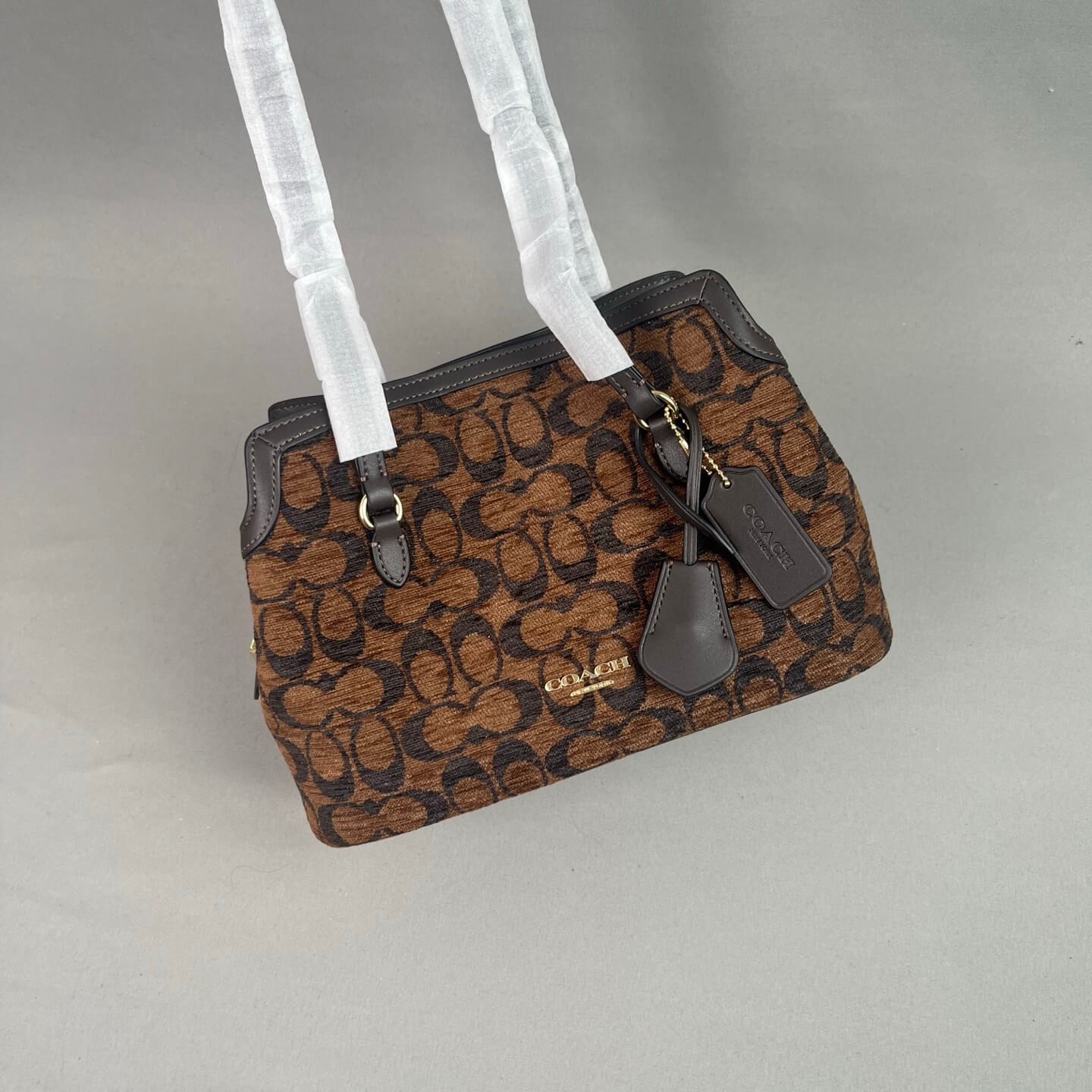 161/5000 coach  CFP36 Elise's new tote bag, a versatile commuter essential